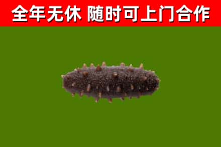 侯马市烟酒回收干海参.jpg